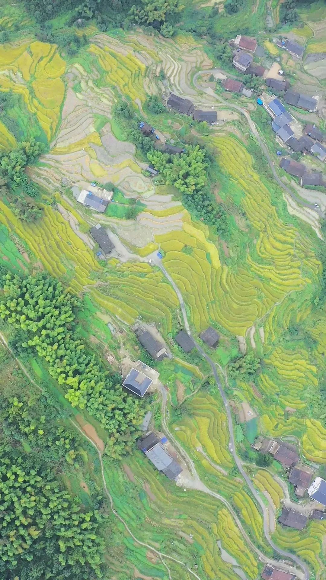 DƬ
